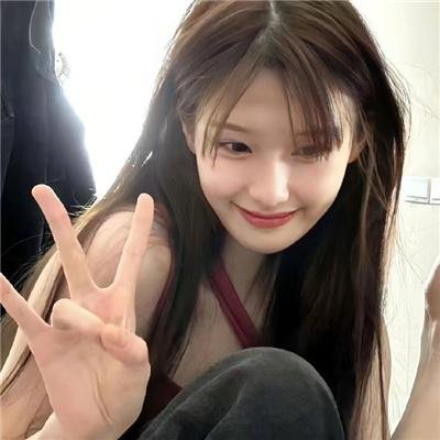 燕子盗